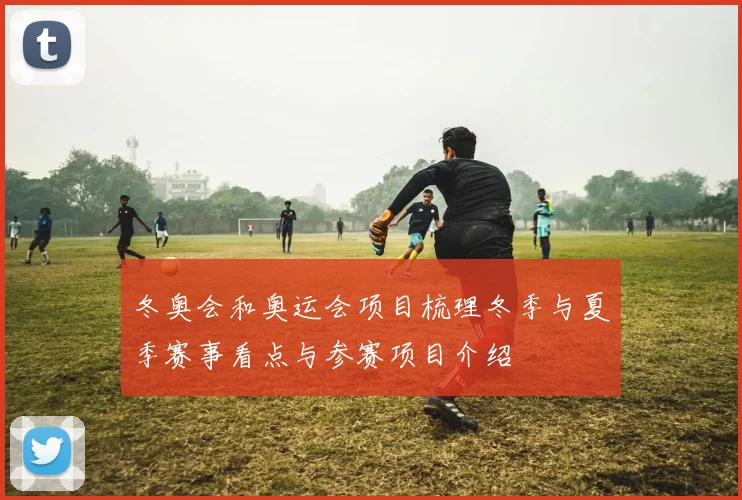 冬奥会和奥运会项目梳理冬季与夏季赛事看点与参赛项目介绍