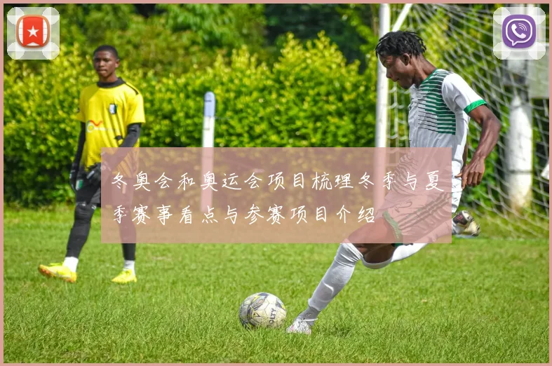 冬奥会和奥运会项目梳理冬季与夏季赛事看点与参赛项目介绍