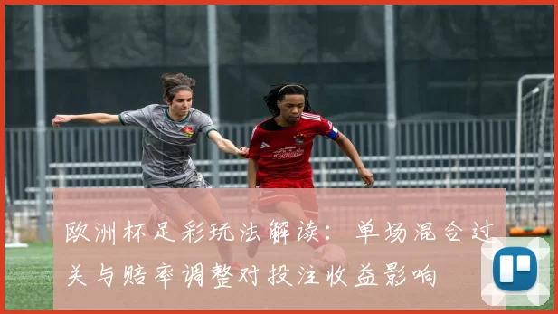 欧洲杯足彩玩法解读:单场混合过关与赔率调整对投注收益影响