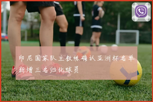 印尼国家队主教练确认亚洲杯名单新增三名归化球员