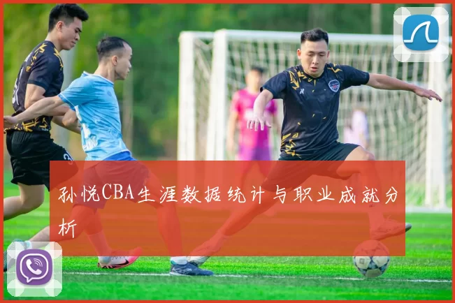 孙悦CBA生涯数据统计与职业成就分析